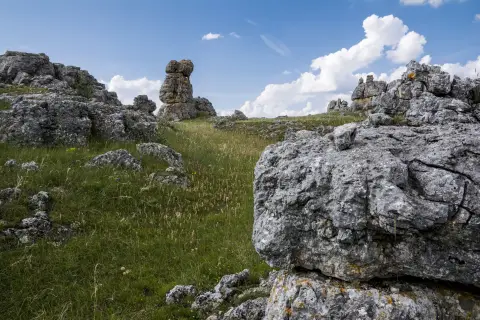 Causse Lozérien ©Marc Poveda